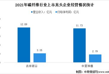 碳纖維上市公司龍頭企業