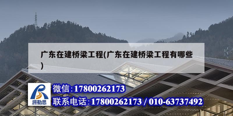 廣東在建橋梁工程(廣東在建橋梁工程有哪些) 北京網架設計